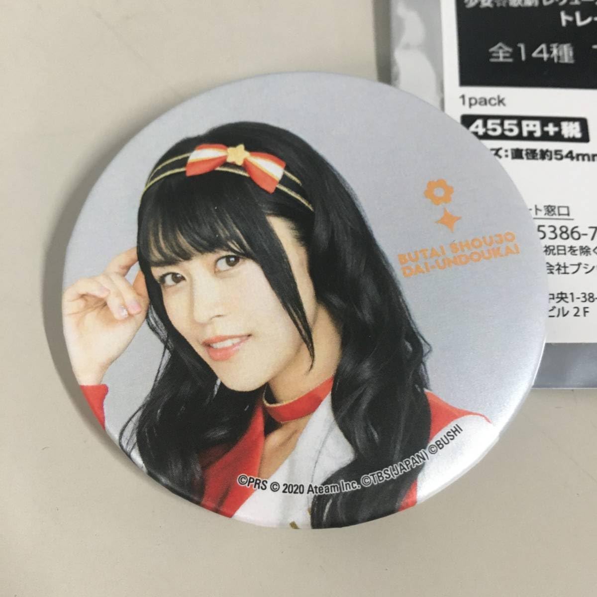 スタァライト 九九組　西條クロディーヌ　相羽あいな　缶バッジ　22個 スタァライト 九九組 西條クロディーヌ 相羽あいな 缶バッジ 22
